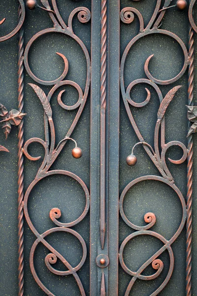 Hermosos Elementos Decorativos Metal Forjado Puertas Hierro Forjado — Foto de Stock