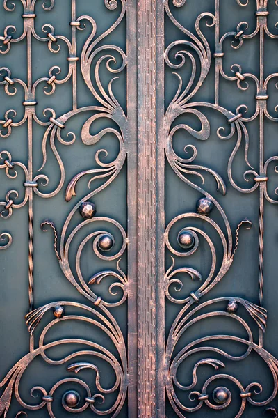 Όμορφα Διακοσμητικά Μεταλλικά Στοιχεία Σφυρηλατημένες Σιδερένιες Πύλες — Φωτογραφία Αρχείου