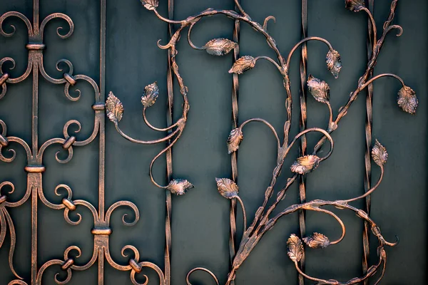Beautiful Decorative Metal Elements Forged Wrought Iron Gates — Stock Photo, Image
