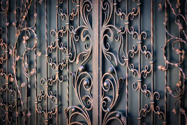 Güzel Dekoratif Metal Elementler Dövülmüş Demir Kapılar — Stok fotoğraf