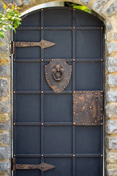 Decoración Puerta Con Elementos Hierro Forjado Ornamentados Cerca — Foto de Stock