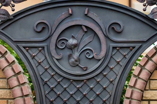 Elementos Ferro Forjado Ornamentado Decoração Portão Metal — Fotografia de Stock