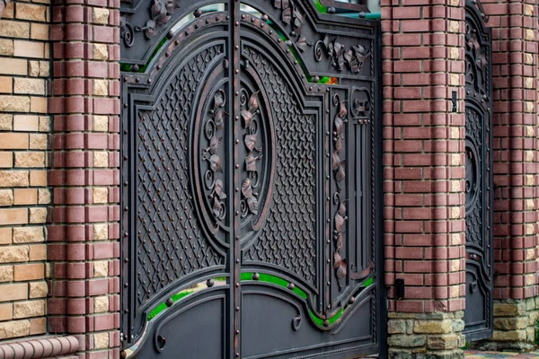 金属门装饰用华丽的锻铁元素 — 图库照片