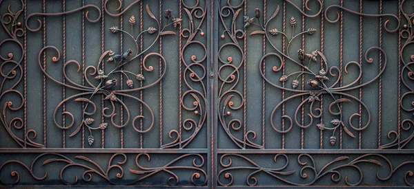 süslü Ferforje metal geçit dekorasyon unsurları.
