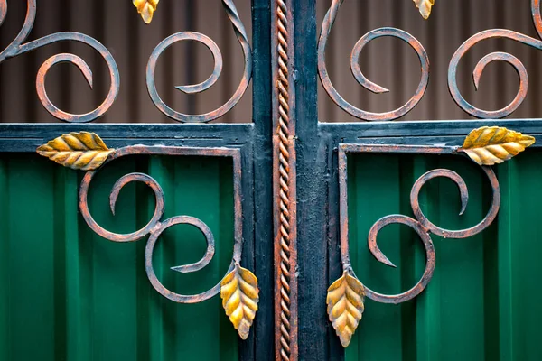 Ornate Wrought Iron Elements Metal Gate Decoration — Stock Photo, Image