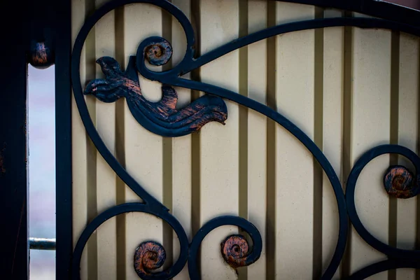 Ornate Wrought Iron Elements Metal Gate Decoration — Stock Photo, Image