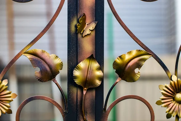 Ornate Wrought Iron Elements Metal Gate Decoration — Stock Photo, Image