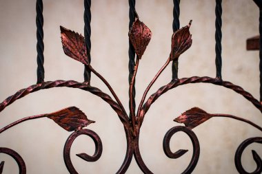 süslü Ferforje metal geçit dekorasyon unsurları.