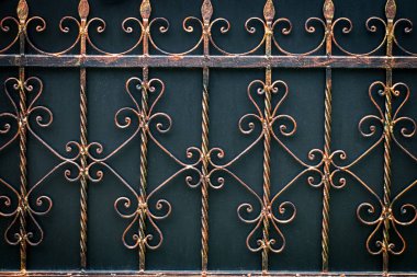 süslü Ferforje metal geçit dekorasyon unsurları.