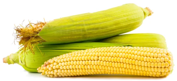 Corn Isolated White Background Clipping Path — Stock Photo, Image