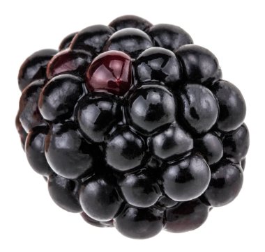 Beyaz arka plan kırpma yolu üzerinde izole blackberry.