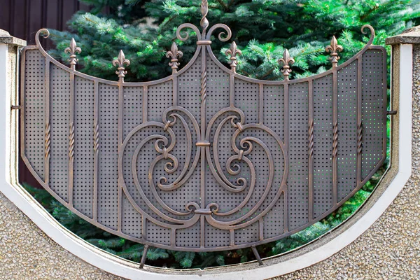 Wrought Iron Gates Ornamental Forging Forged Elements Close — Stock Photo, Image