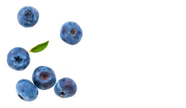 Beyaz arka plan üzerinde izole yaban mersini. Kırpma yolu