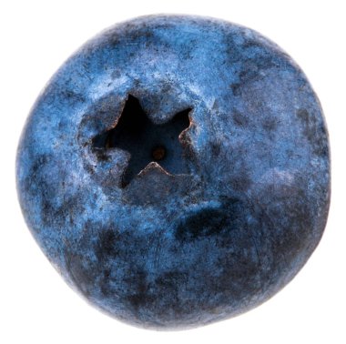 Beyaz arka plan üzerinde izole yaban mersini. Kırpma yolu.