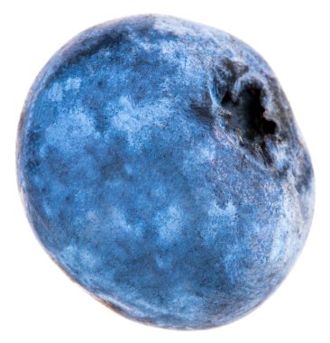 Beyaz arka plan üzerinde izole yaban mersini. Kırpma yolu.