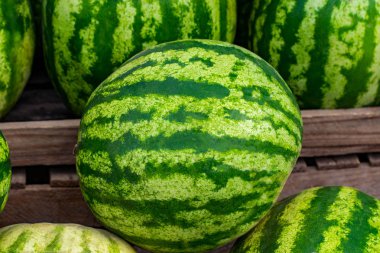 Bir yığın güzel lezzetli yeşil karpuz Pazar tezgah veya sayaç kapatın. Tarım arka plan kavramı.