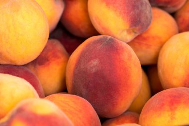 satışa hazır kutusunda taze olgun şeftali.