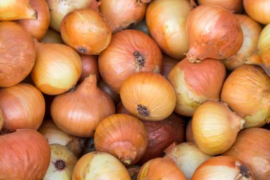 Taze soğan. Soğan arka planı. Olgun soğanlar. Piyasada soğan.