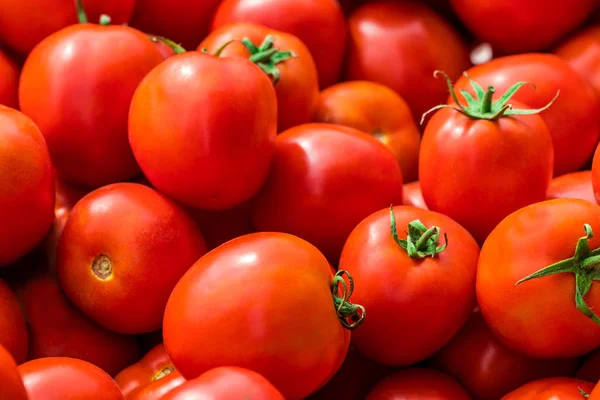 Kırmızı domates arka plan. Grup domates