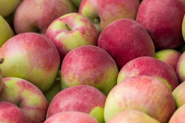 kırmızı elma elma yeşil. Grup kırmızı elma.