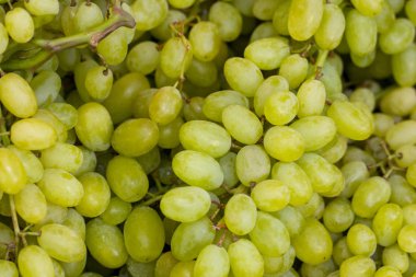 Bir pazarda beyaz şaraplık