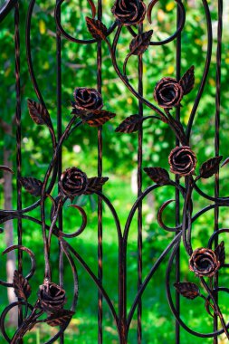 Bilgi, yapısı ve süs Dövme demir kapısı. Metalden yapılmış Güllü dekoratif ornamen.