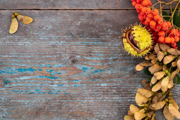 Fondo Otoño Hojas Caídas Frutas Con Ajuste Lugar Vintage Vieja — Foto de Stock