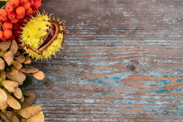 Fondo Otoño Hojas Caídas Frutas Con Ajuste Lugar Vintage Vieja — Foto de Stock