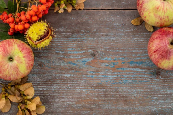 Herbsthintergrund Aus Abgefallenen Blättern Und Früchten Mit Vintage Platz Auf — Stockfoto