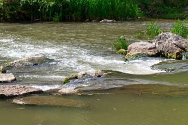 güneşli bir yaz içinde taş olan güzel nehir.