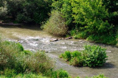 güneşli bir yaz içinde taş olan güzel nehir.