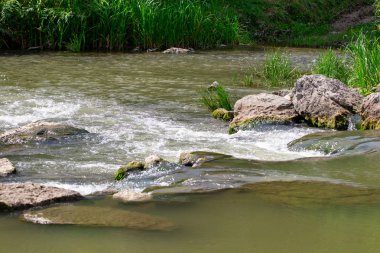 güneşli bir yaz içinde taş olan güzel nehir.