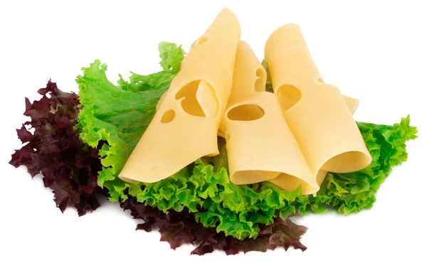 在白色背景下分离的干酪片和新鲜的绿色生菜 — 图库照片