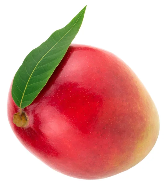 Mango Med Grönt Blad Isolerad Vit Bakgrund Urklippsbana — Stockfoto
