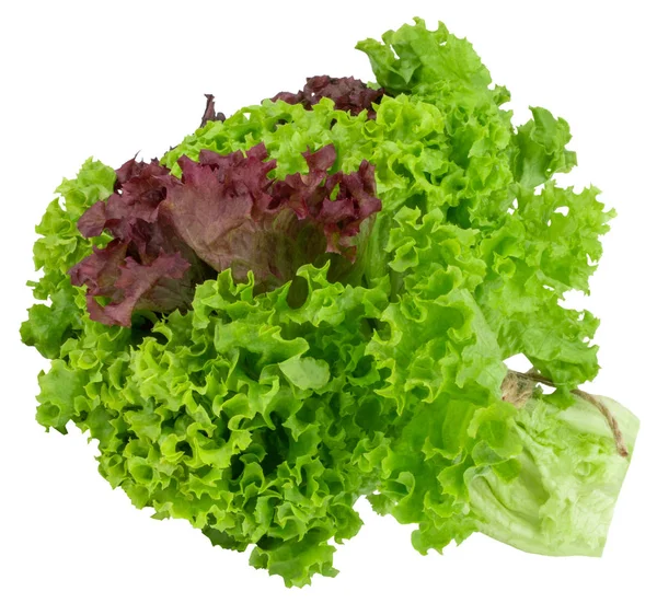 Grüner Und Roter Salat Isoliert Auf Weißem Hintergrund — Stockfoto