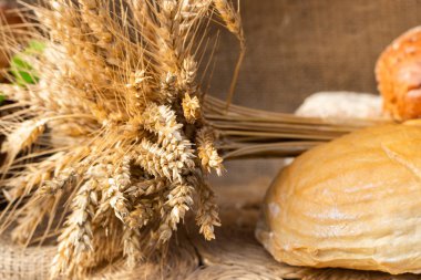 Beyaz buğday ekmek ve bir buğday ile buns tahıl ve buğday spikelets. Uzay kopyalayın. Yakın çekim. Eve ekmek. Ev yapımı.