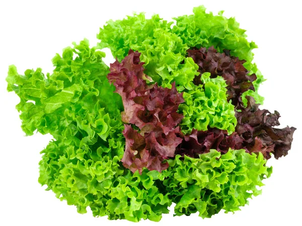 Grüner Und Roter Salat Isoliert Auf Weißem Hintergrund — Stockfoto