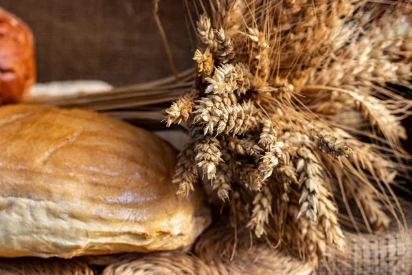 Beyaz buğday ekmek ve bir buğday ile buns tahıl ve buğday spikelets. Uzay kopyalayın. Yakın çekim. Eve ekmek. Ev yapımı.