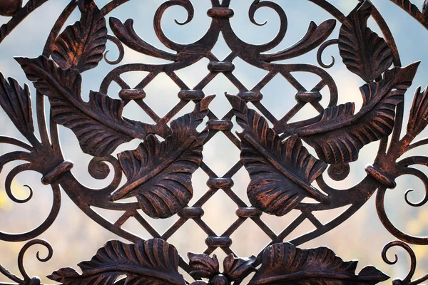 wrought-iron gates, ornamental forging, forged elements close-up.