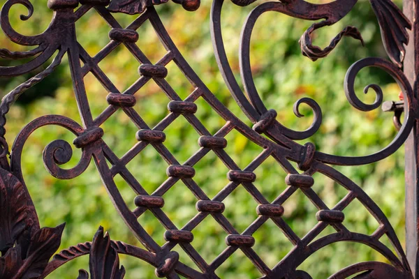 Portões Ferro Forjado Forjamento Ornamental Elementos Forjados Close — Fotografia de Stock