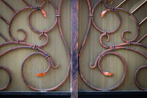 Puertas Hierro Forjado Forja Ornamental Elementos Forjados Cerca —  Fotos de Stock