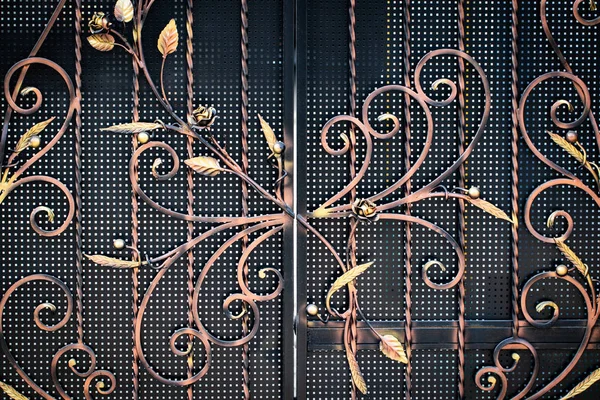 Puertas Hierro Forjado Forja Ornamental Elementos Forjados Cerca — Foto de Stock