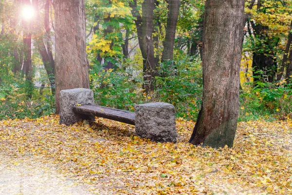 Ławka Parku Jesień Jesień Las Krajobraz Żółty Słońce — Zdjęcie stockowe