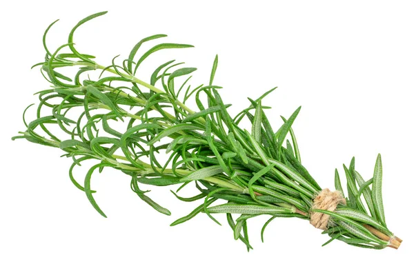 Green Fresh Rosemary Isolated White Background — Stock Photo, Image