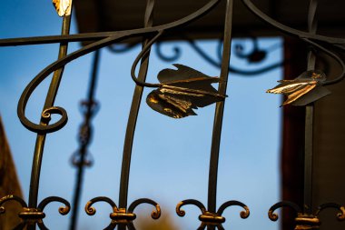 Güzel dekoratif metal elementler dövülmüş demir kapılar..