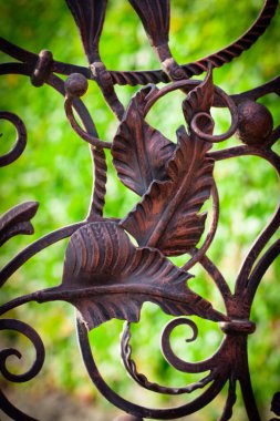 Güzel dekoratif metal elementler dövülmüş demir kapılar..