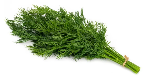 Taze yeşil dereotu beyaz arkaplanda izole edilmiş..
