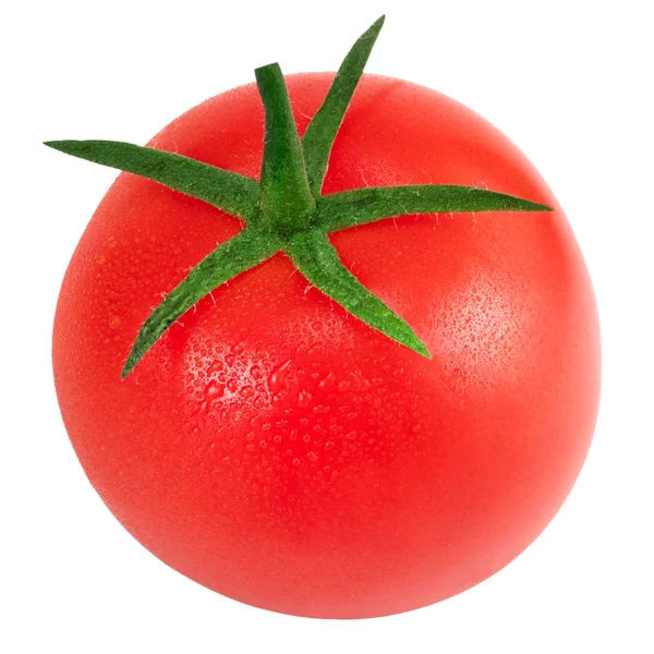 Tomates Isolados Branco Tomate Com Gotas Profundidade Total Campo — Fotografia de Stock