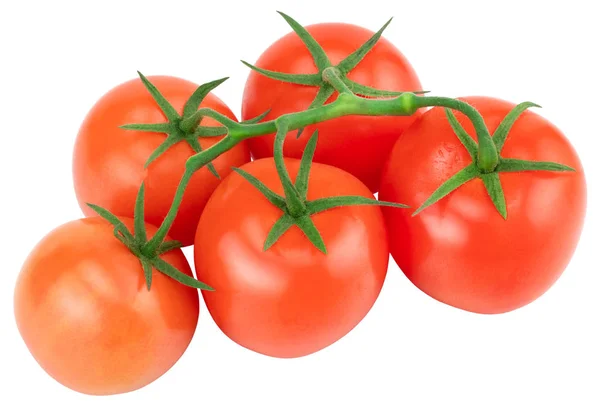 Tomate Une Branche Tomate Tomates Isolées Sur Blanc Avec Chemin — Photo