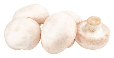  champignon izole üzerinde beyaz arka plan, kırpma yolu ile mantar.
